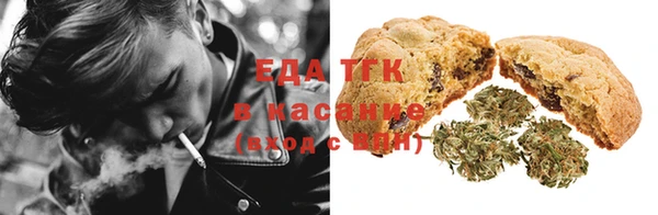 индика Абаза