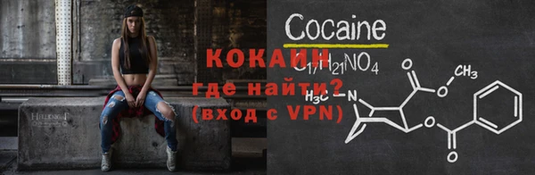 индика Абаза