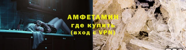 индика Абаза
