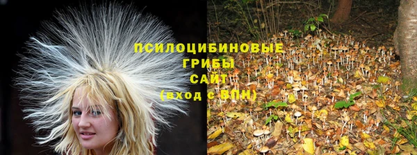 не бодяженный Абдулино