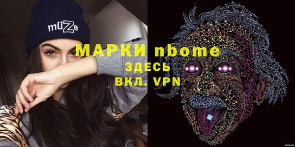 индика Абаза