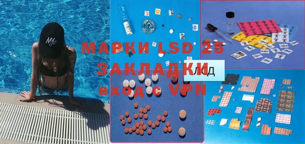 индика Абаза