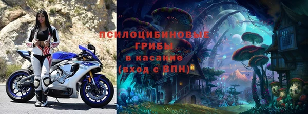 индика Абаза