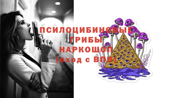 индика Абаза