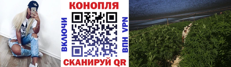 Бошки Шишки ГИДРОПОН  Орёл 